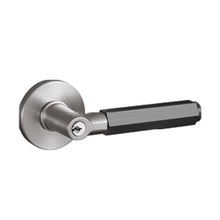 将图片加载到图库查看器，ARMOR Signature Dual Color Door Ironmongery Hex Handle
