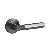 将图片加载到图库查看器，ARMOR Signature Dual Color Door Ironmongery Hex Handle
