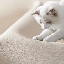 将图片加载到图库查看器，Silas Pet Friendly Leather Trendy Cloud Sofa
