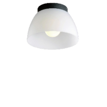 将图片加载到图库查看器，DESS Ceiling Light - Model: GLDC12741
