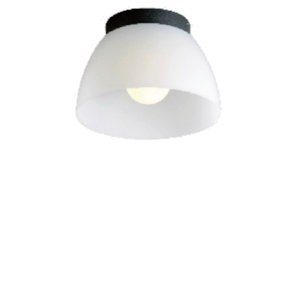 DESS Ceiling Light - Model: GLDC12741
