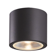 Load image into Gallery viewer, DESS Ceiling Light - Model: GLHI9236
