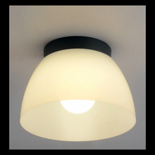 Load image into Gallery viewer, DESS Ceiling Light - Model: GLDC12741
